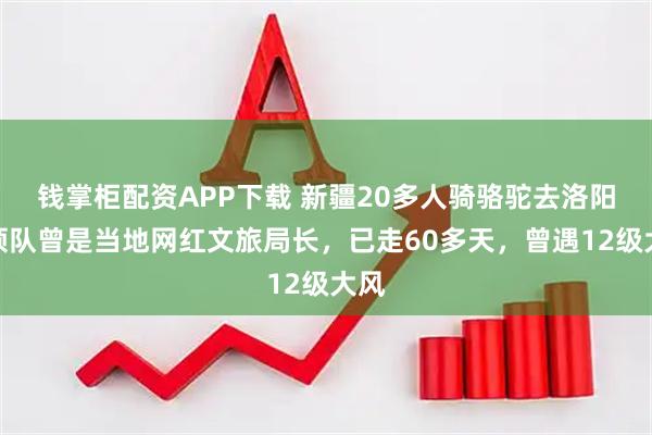 钱掌柜配资APP下载 新疆20多人骑骆驼去洛阳,领队曾是当地网红文旅局长,已走60多天,曾遇12级大风