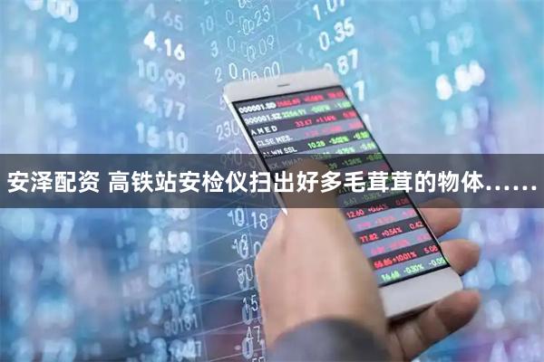 安泽配资 高铁站安检仪扫出好多毛茸茸的物体……