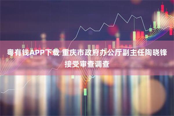粤有钱APP下载 重庆市政府办公厅副主任陶晓锋接受审查调查